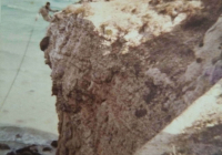 3o79-COE-21-TARIFA-55