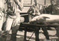 COE-21-SUPERVIVENCIA-MATANZA-112