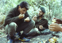 COE-21-SUPERVIVENCIA-MATANZA-119