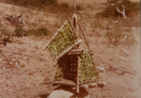 COE-21-SUPERVIVENCIA-MATANZA-125