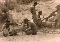 COE-21-SUPERVIVENCIA-MATANZA-141