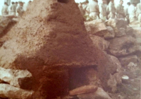 COE-21-SUPERVIVENCIA-MATANZA-147