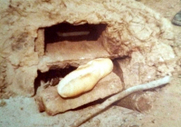 COE-21-SUPERVIVENCIA-MATANZA-148