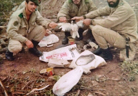 COE-21-SUPERVIVENCIA-MATANZA-150