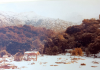 COE-21-SUPERVIVENCIA-MATANZA-162