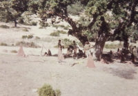 COE-21-SUPERVIVENCIA-MATANZA-171