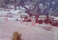 COE-21-SUPERVIVENCIA-MATANZA-172