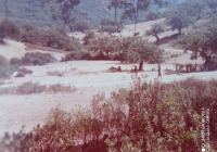 COE-21-SUPERVIVENCIA-MATANZA-177