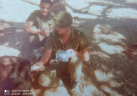 COE-21-SUPERVIVENCIA-MATANZA-178