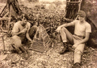 COE-21-SUPERVIVENCIA-MATANZA-60