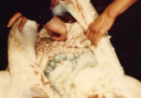 COE-21-SUPERVIVENCIA-MATANZA-70