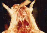 COE-21-SUPERVIVENCIA-MATANZA-71