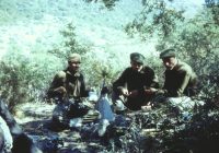 COE-21-SUPERVIVENCIA-MATANZA-74