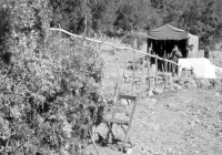 COE-21-SUPERVIVENCIA-MATANZA-85