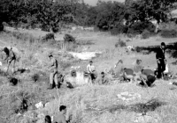 COE-21-SUPERVIVENCIA-MATANZA-87