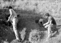 COE-21-SUPERVIVENCIA-MATANZA-90