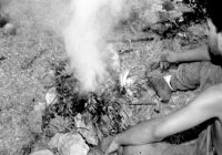 COE-21-SUPERVIVENCIA-MATANZA-95