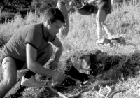 COE-21-SUPERVIVENCIA-MATANZA-97