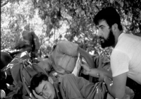 COE-21-SUPERVIVENCIA-MATANZA-99