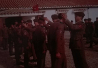 COE-21-ENTREGA-DE-LA-BOINA-2