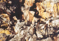 COE-21-RAPEL-ESCALADATELEFERICOESCALAS-107