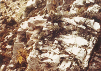 COE-21-RAPEL-ESCALADATELEFERICOESCALAS-11