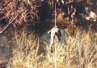 COE-21-RAPEL-ESCALADATELEFERICOESCALAS-12