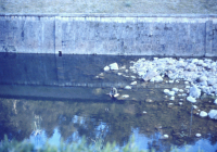 COE-21-RAPEL-ESCALADATELEFERICOESCALAS-122