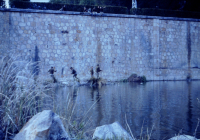 COE-21-RAPEL-ESCALADATELEFERICOESCALAS-123