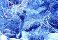 COE-21-RAPEL-ESCALADATELEFERICOESCALAS-145