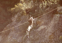 COE-21-RAPEL-ESCALADATELEFERICOESCALAS-158