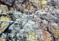 COE-21-RAPEL-ESCALADATELEFERICOESCALAS-20