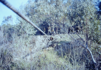 COE-21-RAPEL-ESCALADATELEFERICOESCALAS-23