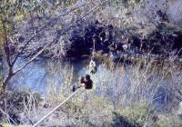 COE-21-RAPEL-ESCALADATELEFERICOESCALAS-25