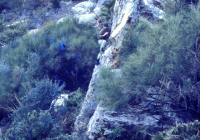 COE-21-RAPEL-ESCALADATELEFERICOESCALAS-26