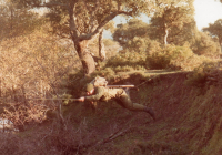 COE-21-RAPEL-ESCALADATELEFERICOESCALAS-49