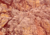 COE-21-RAPEL-ESCALADATELEFERICOESCALAS-50