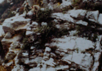 COE-21-RAPEL-ESCALADATELEFERICOESCALAS-55