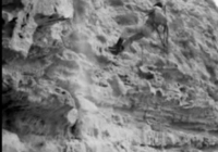 COE-21-RAPEL-ESCALADATELEFERICOESCALAS-6