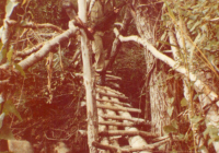 COE-21-RAPEL-ESCALADATELEFERICOESCALAS-63