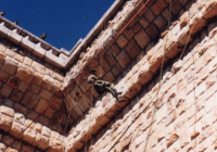 COE-21-RAPEL-ESCALADATELEFERICOESCALAS-75