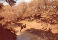 COE-21-RAPEL-ESCALADATELEFERICOESCALAS-78