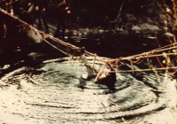 COE-21-RAPEL-ESCALADATELEFERICOESCALAS-84