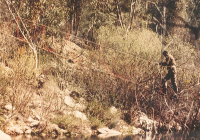 COE-21-RAPEL-ESCALADATELEFERICOESCALAS-85