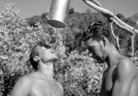 COE-21-FASE-DE-AGUA-7