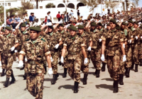 COE-21-FORMACIONES-DESFILES-66