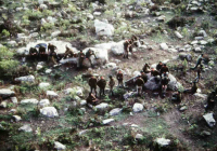 COE-21-MANIOBRAS-GUERRILLAS-1