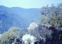 COE-21-MANIOBRAS-GUERRILLAS-21