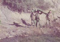 COE-21-MANIOBRAS-GUERRILLAS-22