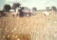 COE-21-TABLA-DE-COMBATE-EXHIBICIONES-100